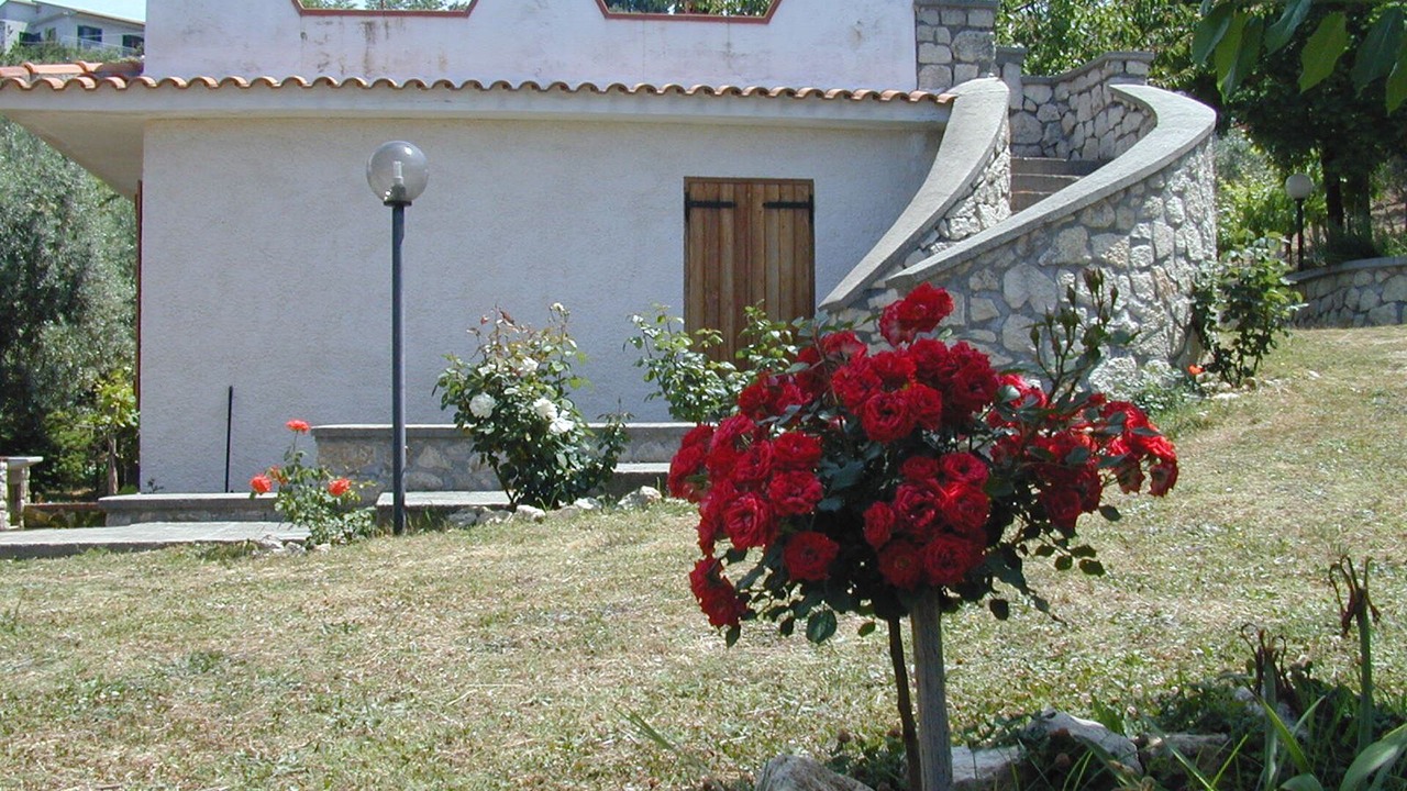 Photo of Outdoor in Amantea