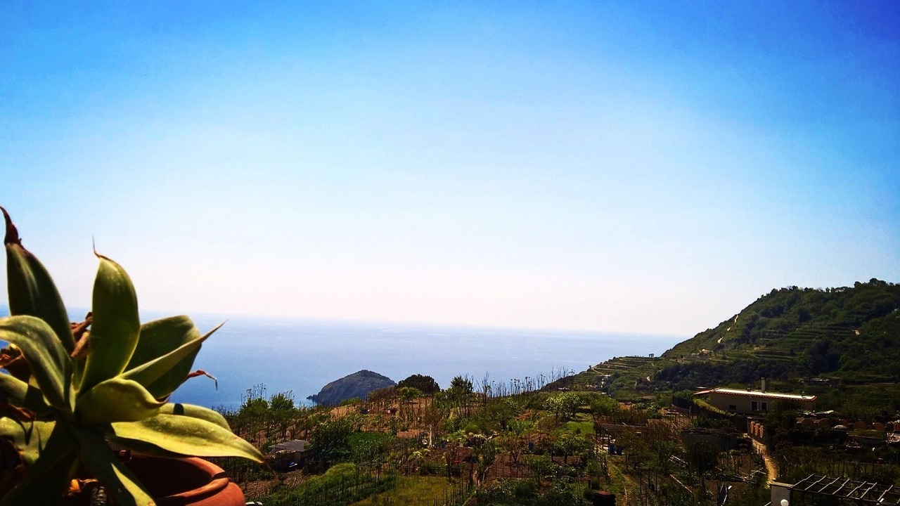 Photo of Others in Barano d'Ischia