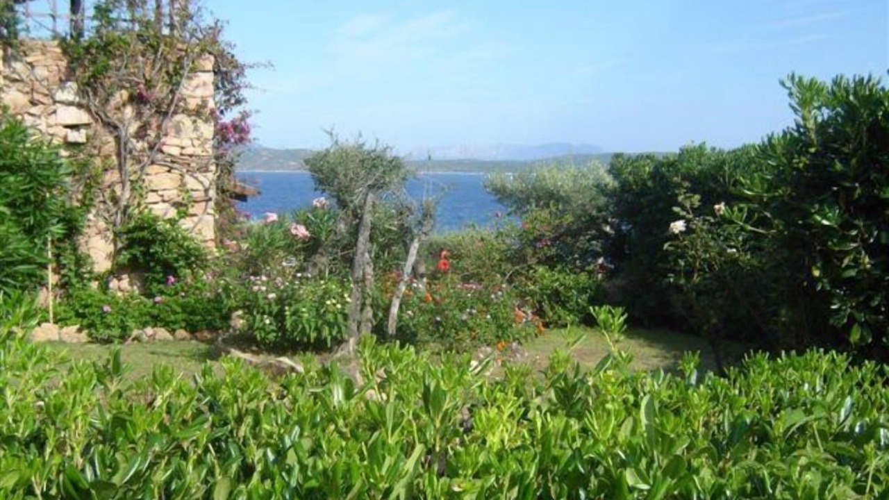Photo of Others in Porto Rotondo