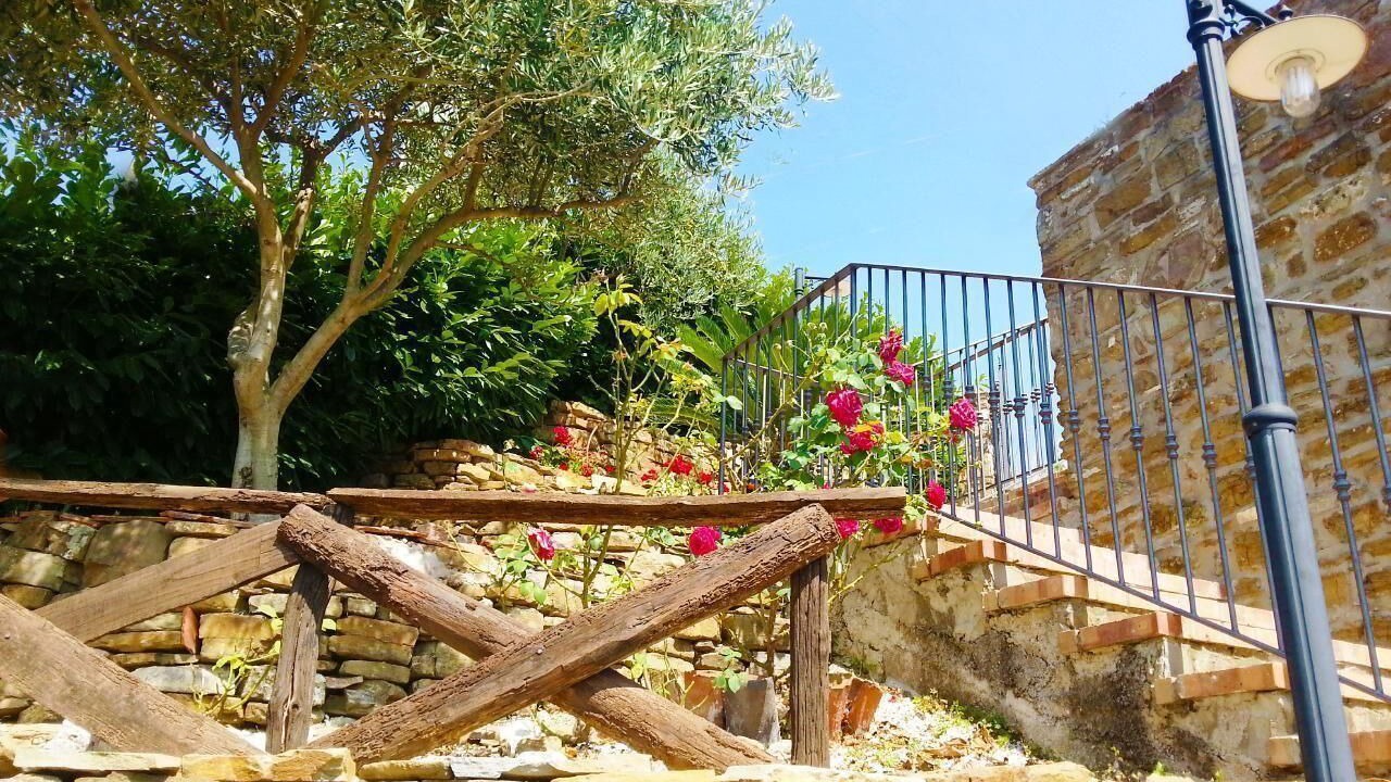Photo of Others in San Mauro Cilento
