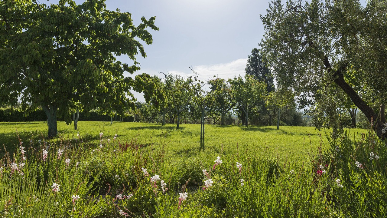Photo of Outdoor in Avigliano Umbrio