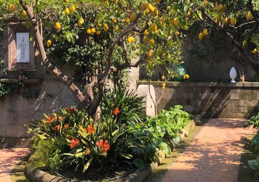 Photo of Outdoor in Sorrento Historic Centre