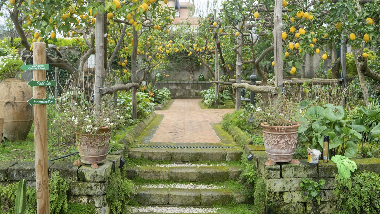 Photo of Outdoor in Sorrento Historic Centre