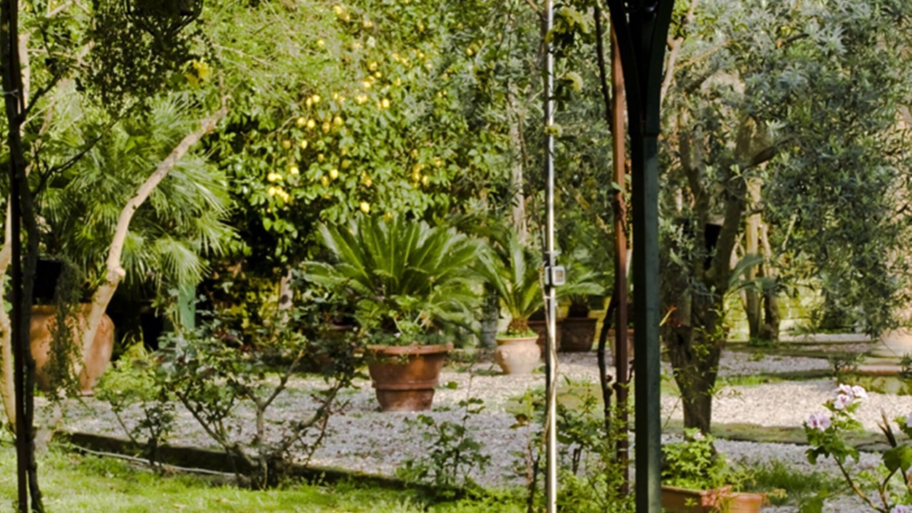 Photo of Outdoor in Sorrento Historic Centre