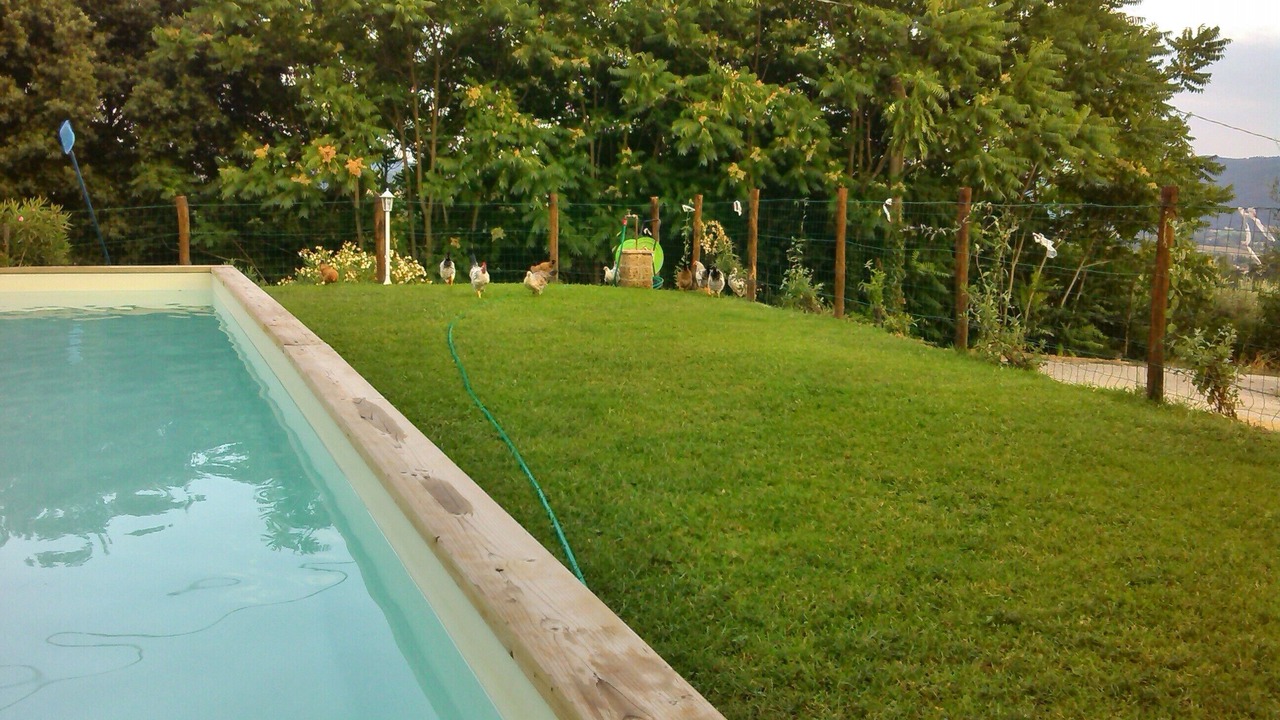 Photo of Outdoor in Montelovesco