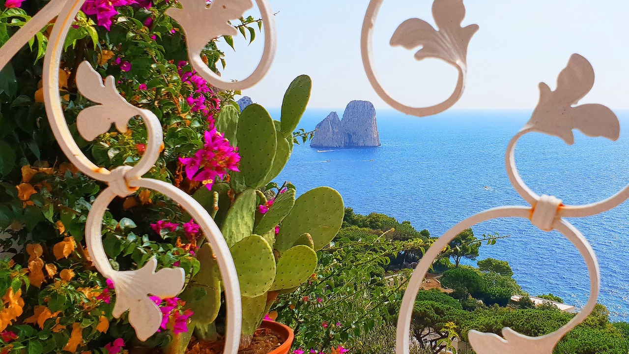 Photo of Outdoor in Marina Piccola