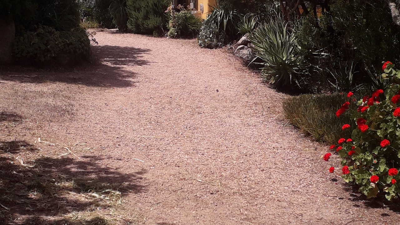 Photo of Outdoor in Aglientu