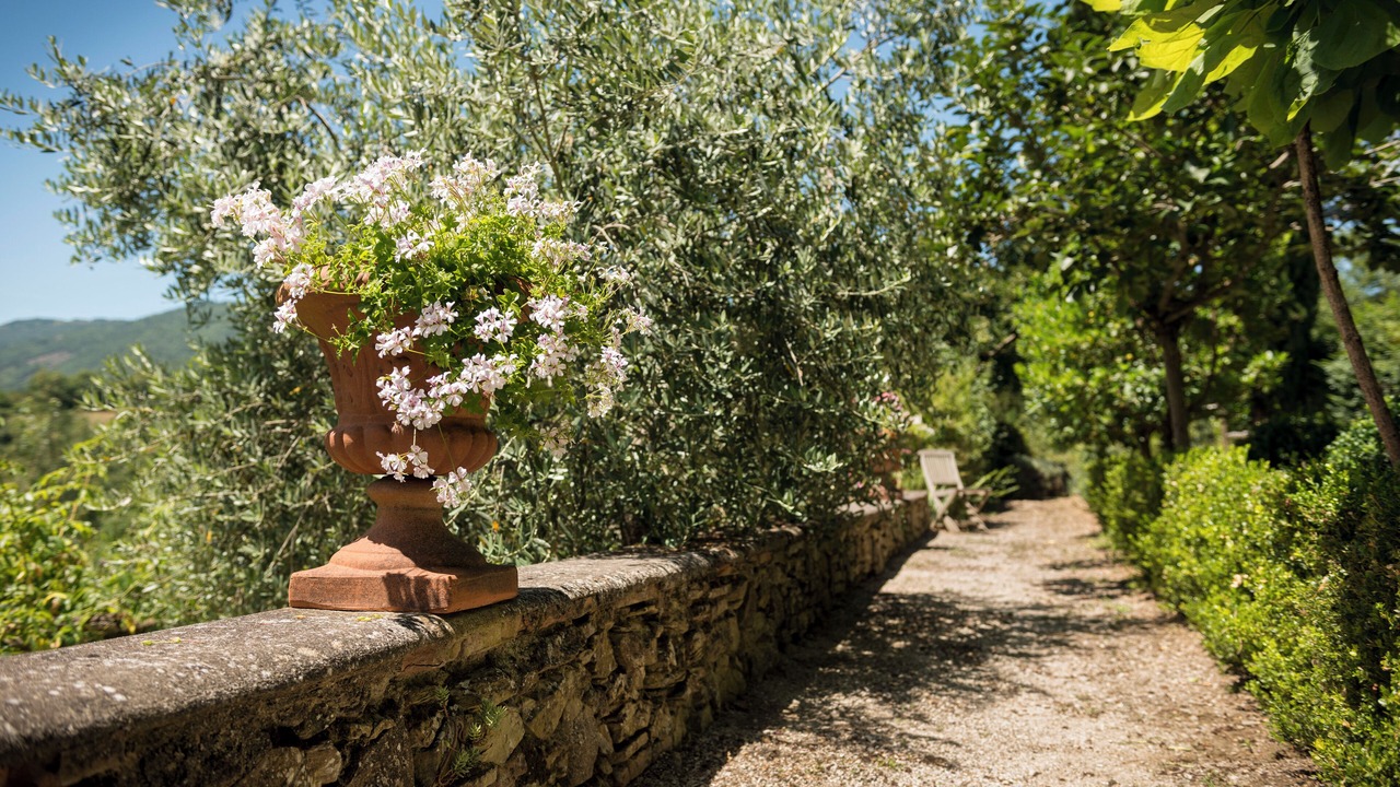 Photo of Outdoor in Monte Santa Maria Tiberina