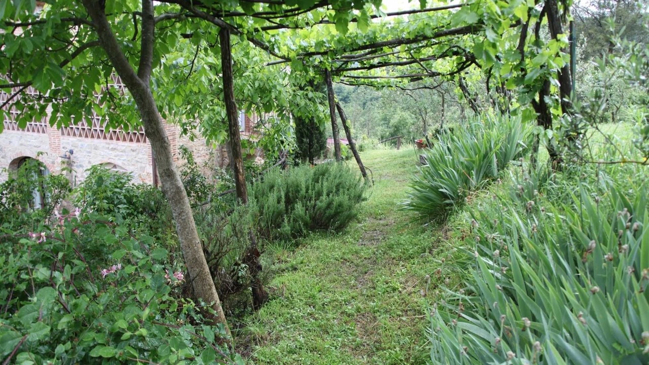 Photo of Outdoor in Monte Santa Maria Tiberina