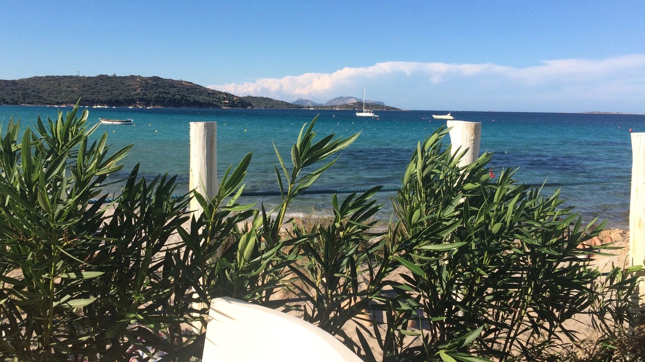 Photo of Others in Olbia