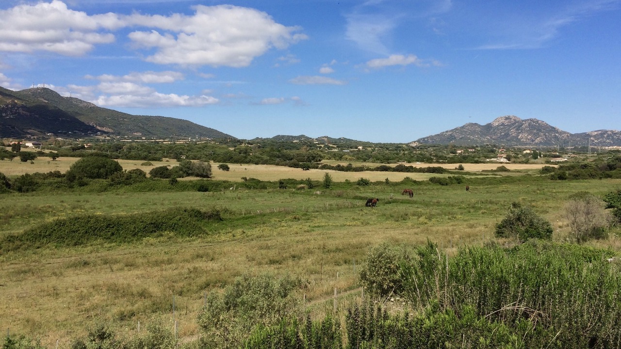 Photo of Outdoor in Olbia