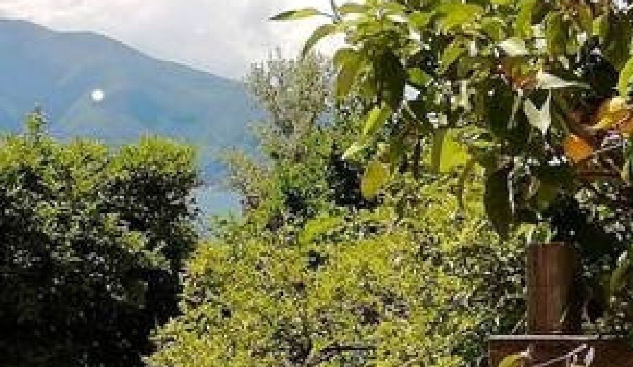 Photo of Outdoor in Trecase