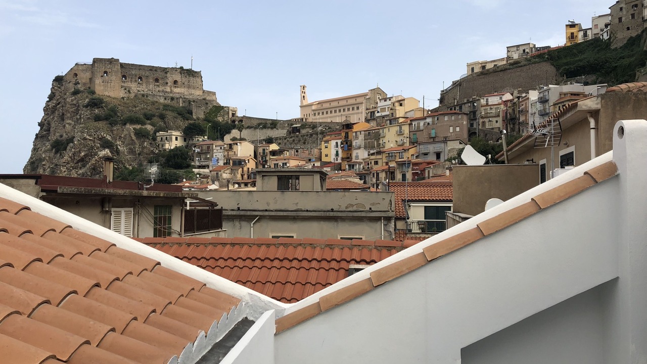 Photo of Others in Scilla