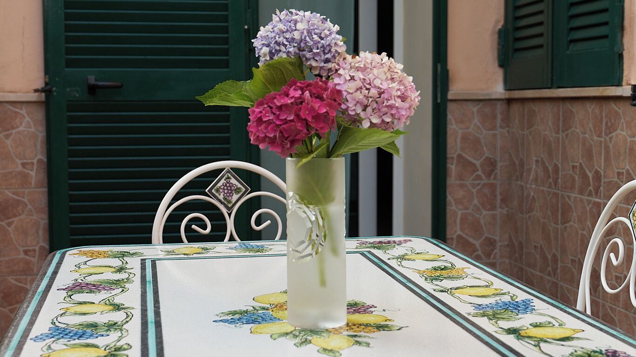 Photo of Outdoor in Trecase