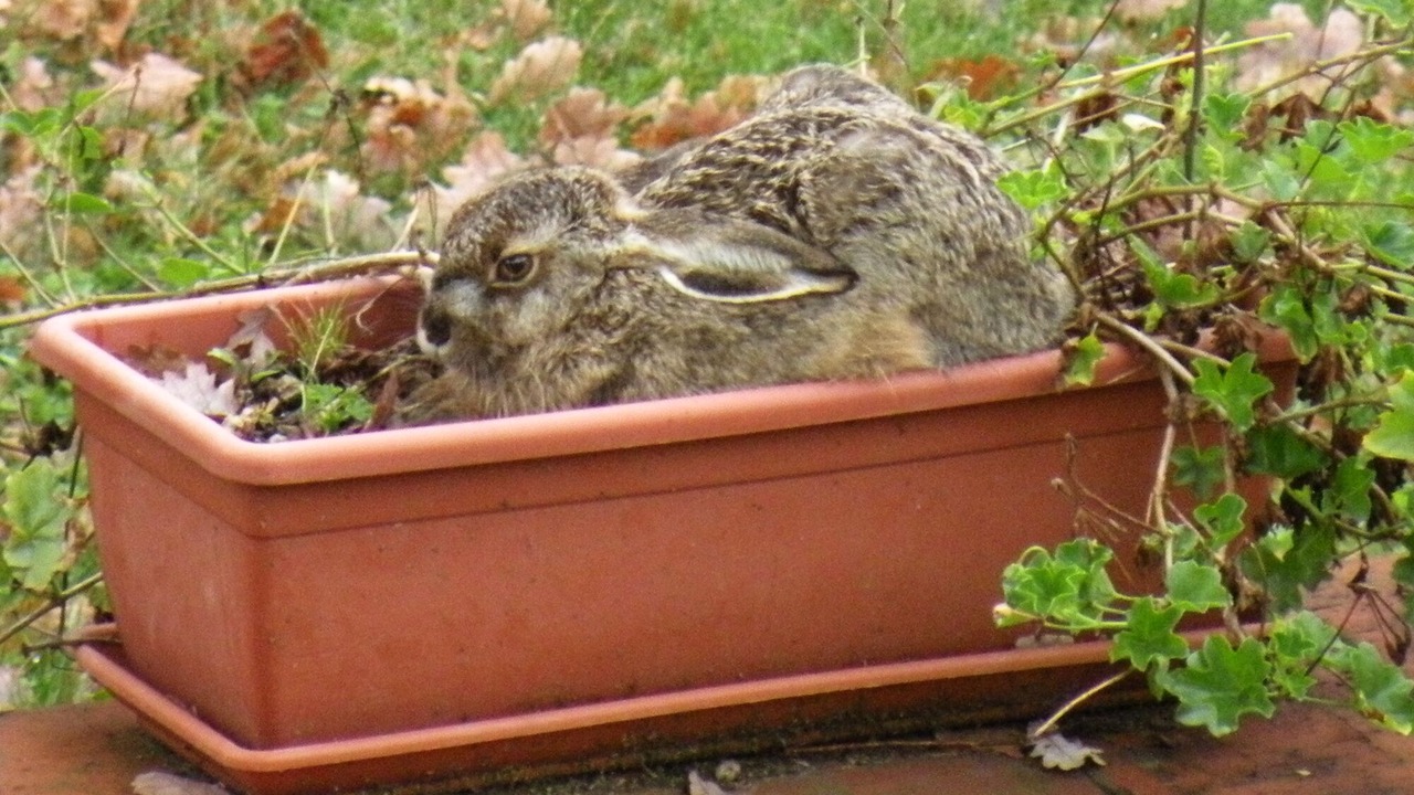 Photo of Outdoor in Pergine Valdarno