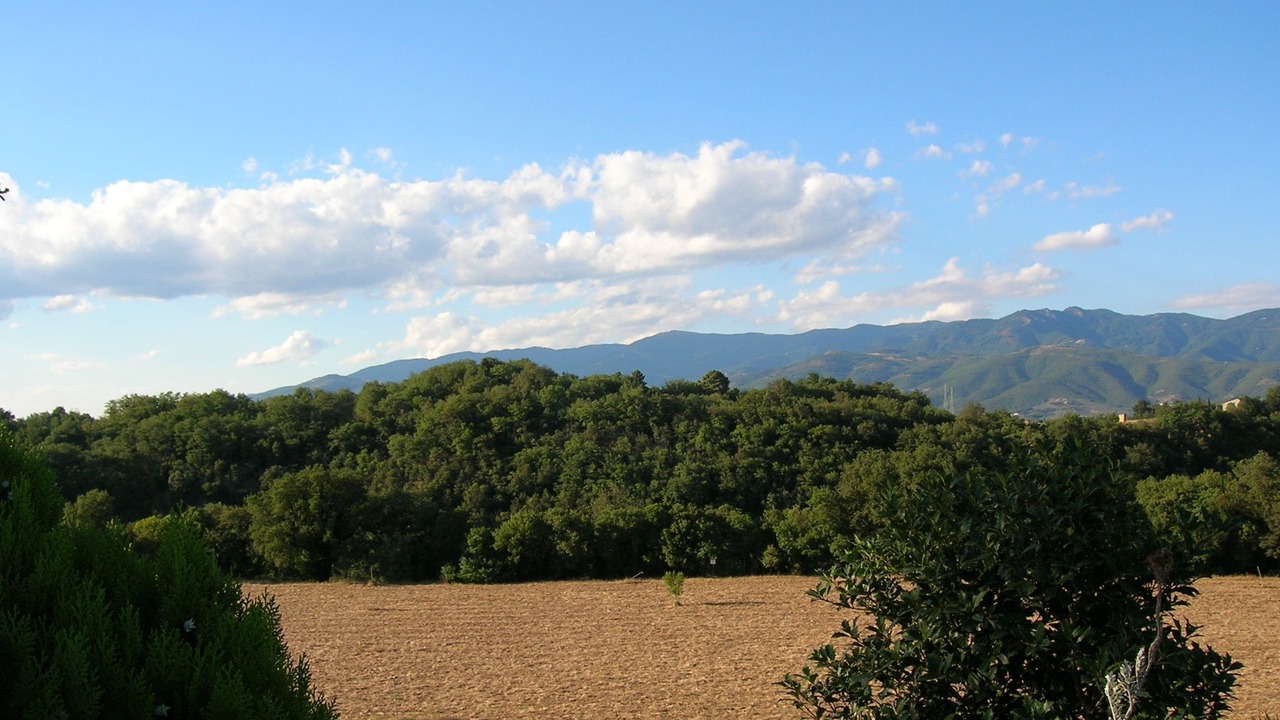 Photo of Others in Pergine Valdarno