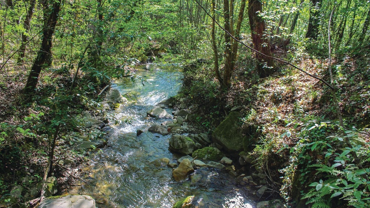 Photo of Others in Subbiano