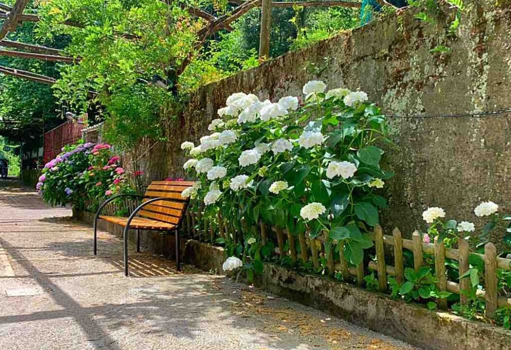 Photo of Outdoor in Priora