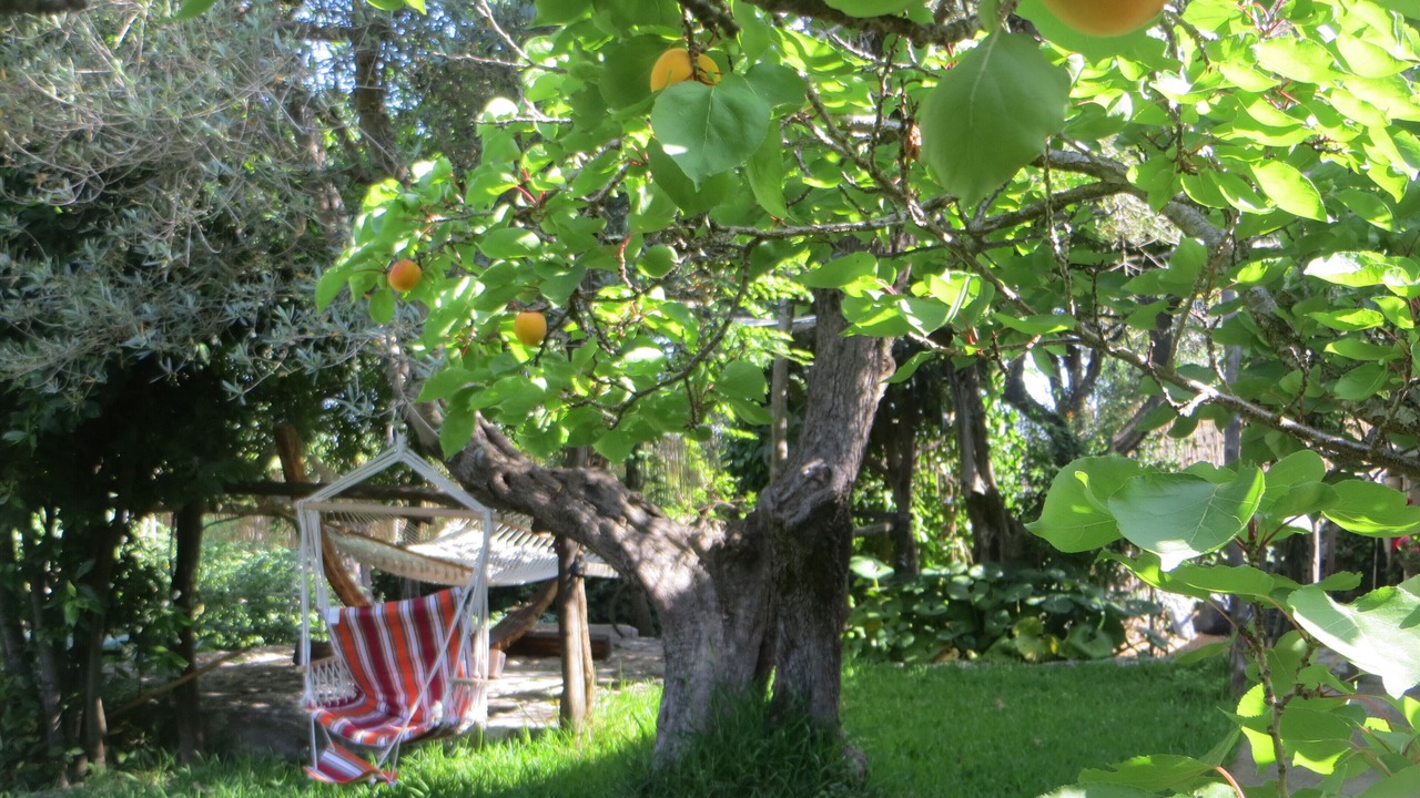 Photo of Outdoor in Anacapri