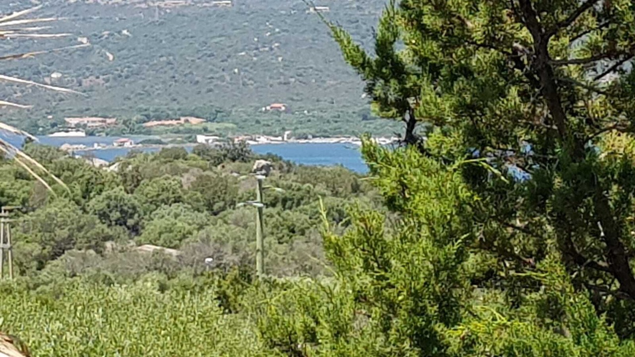 Photo of Others in Porto Rotondo
