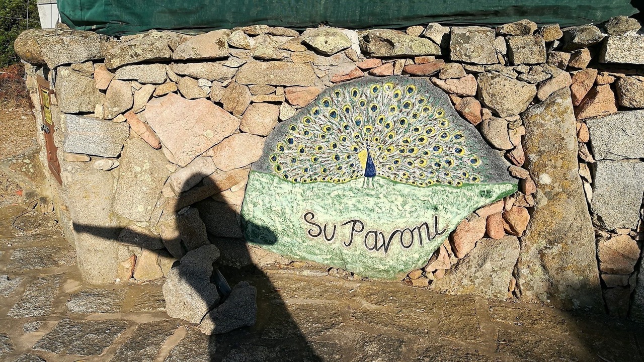 Photo of Others in Porto Rotondo