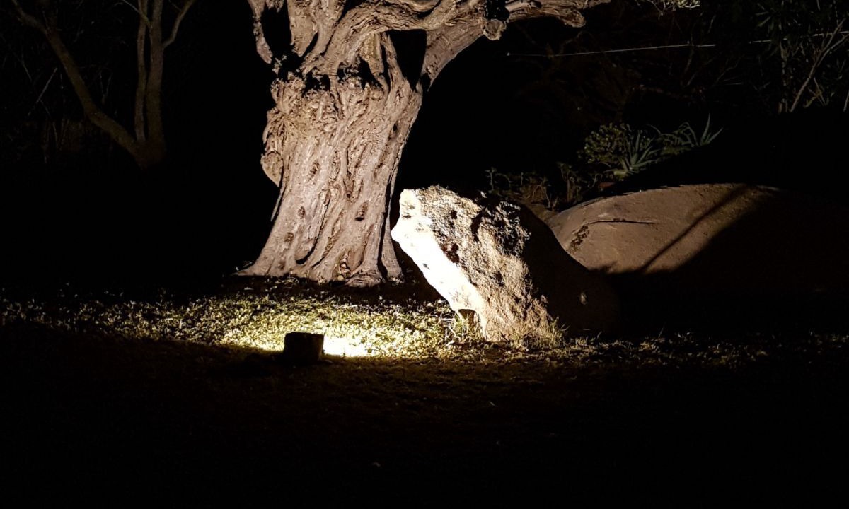 Photo of Outdoor in Porto Rotondo