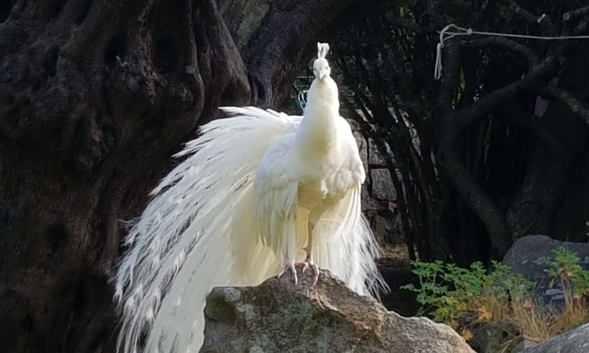 Photo of Outdoor in Porto Rotondo