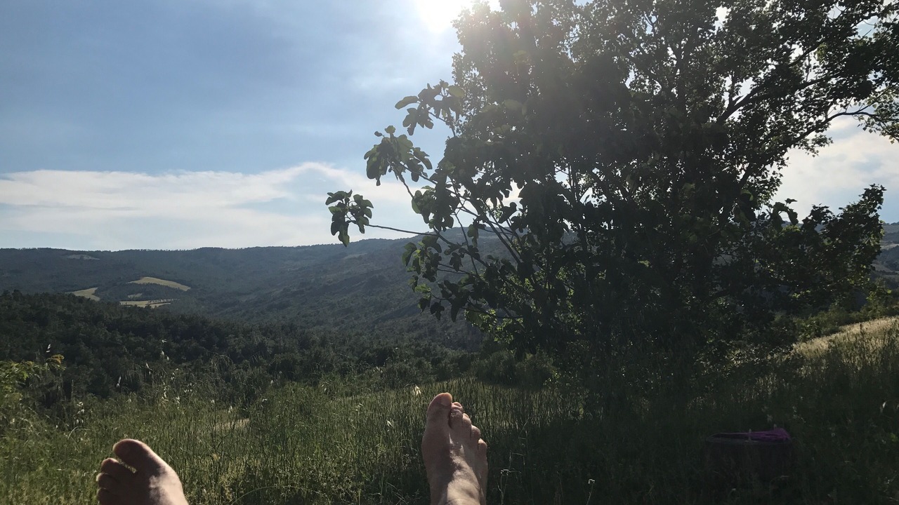 Photo of Outdoor in Monterenzio