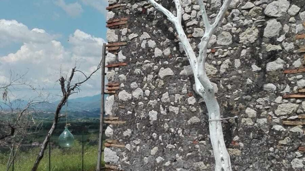 Photo of Outdoor in Palombara Sabina