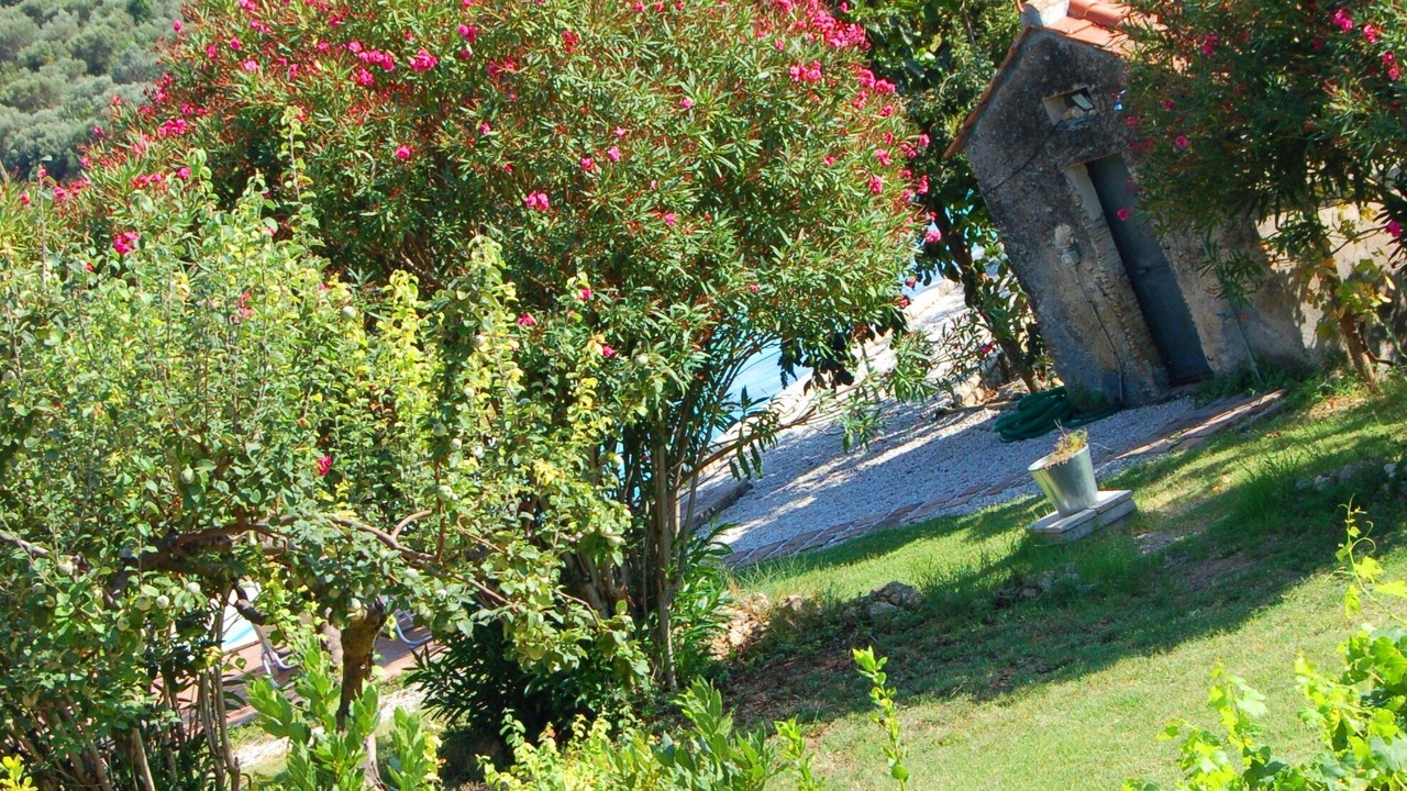 Photo of Outdoor in Palombara Sabina