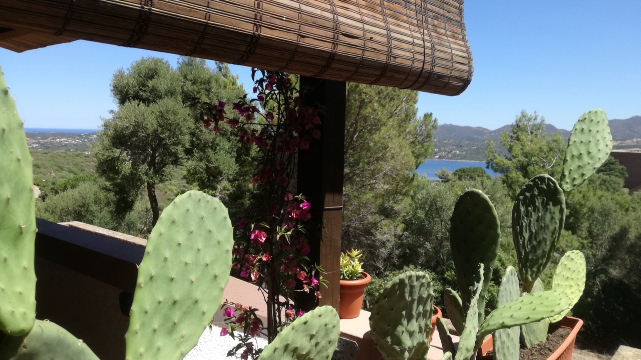Photo of Outdoor in Cugnana Verde