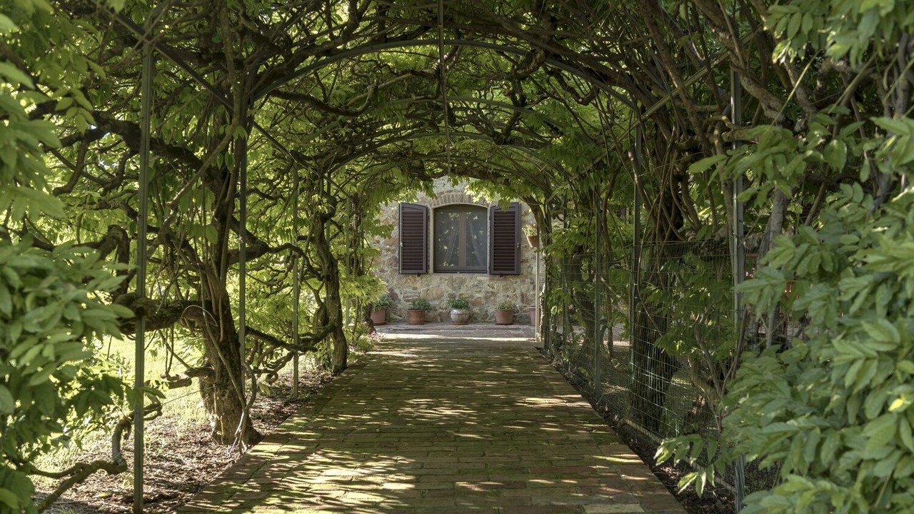 Photo of Outdoor in Palazzina