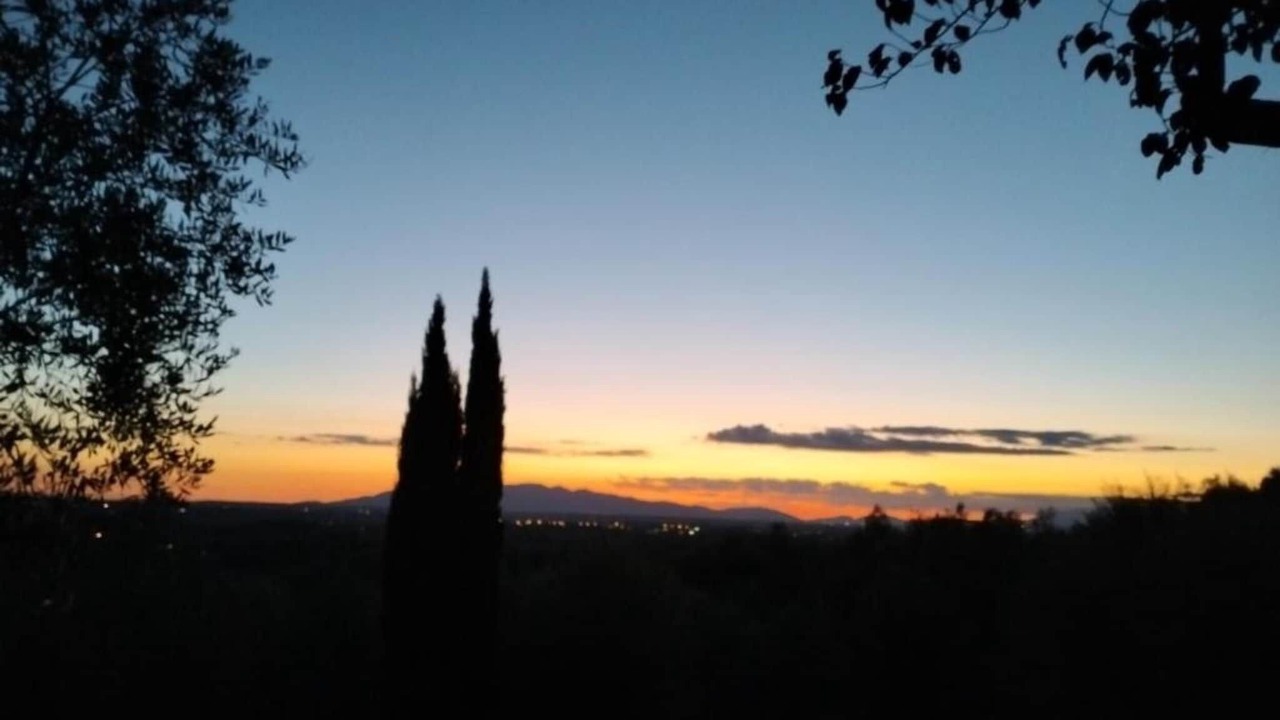 Photo of Others in Vitolini