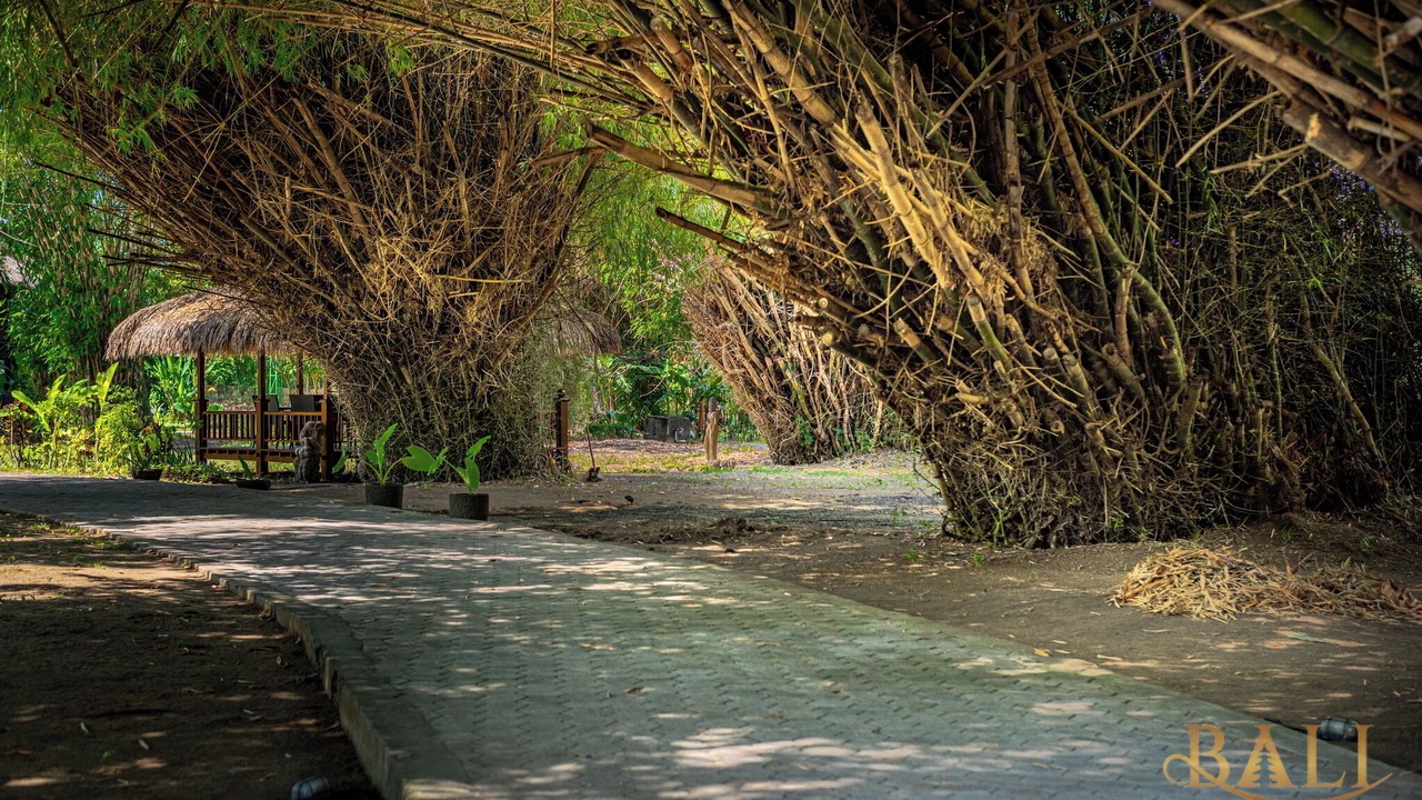 Photo of Outdoor in Kalianget