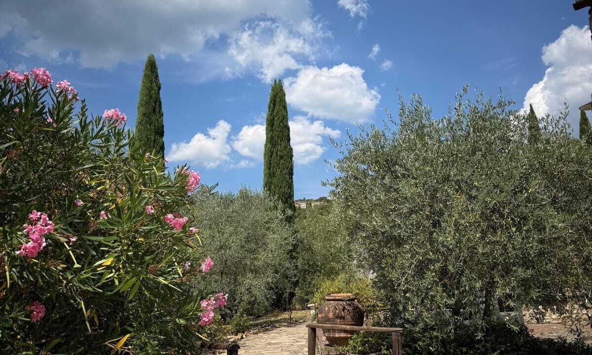 Photo of Outdoor in Castellina in Chianti