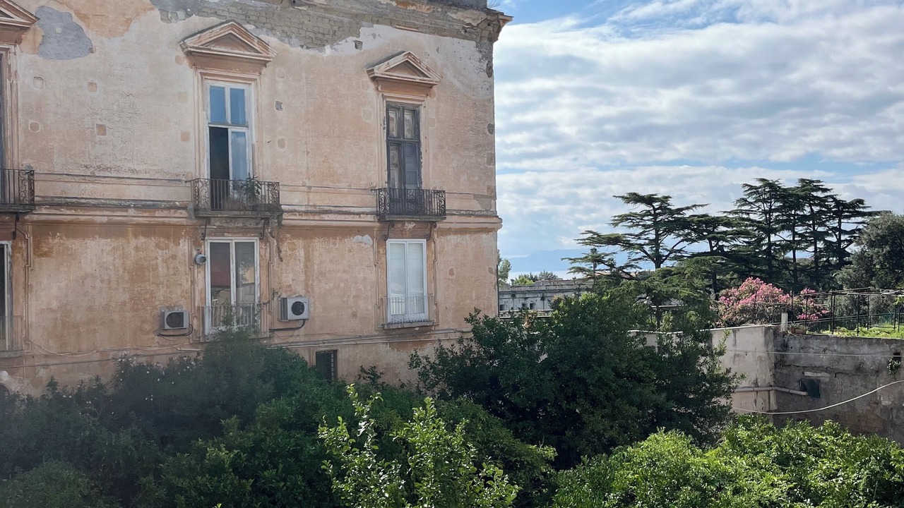 Photo of Outdoor in Portici