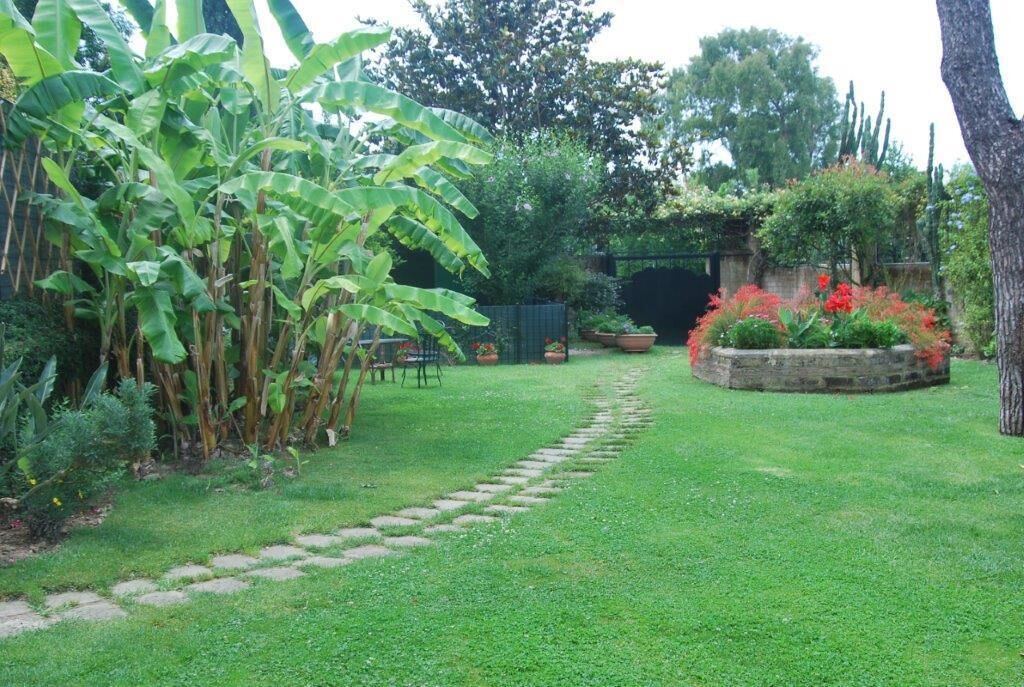 Photo of Outdoor in Licola