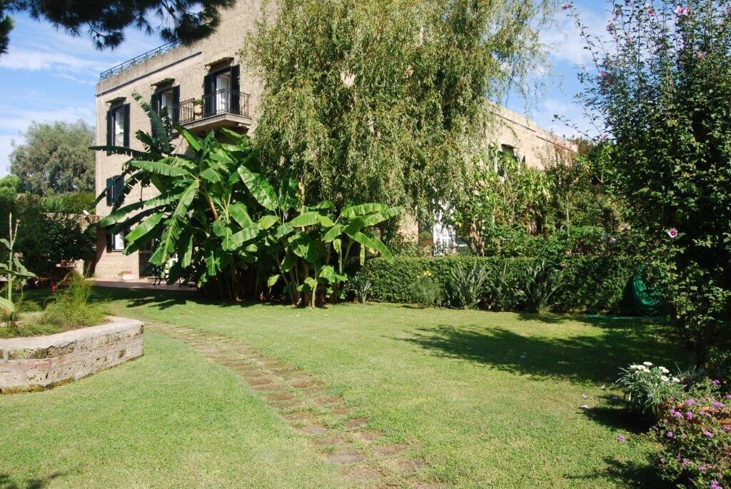 Photo of Outdoor in Licola