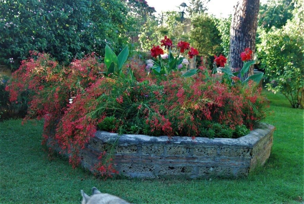 Photo of Outdoor in Licola