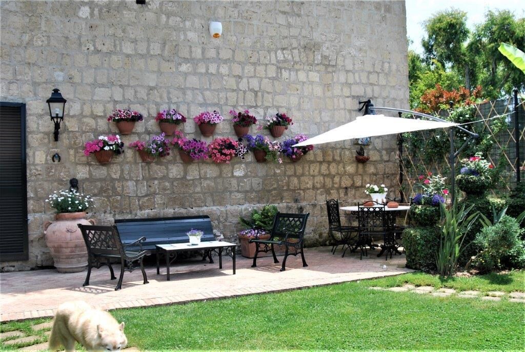 Photo of Outdoor in Licola