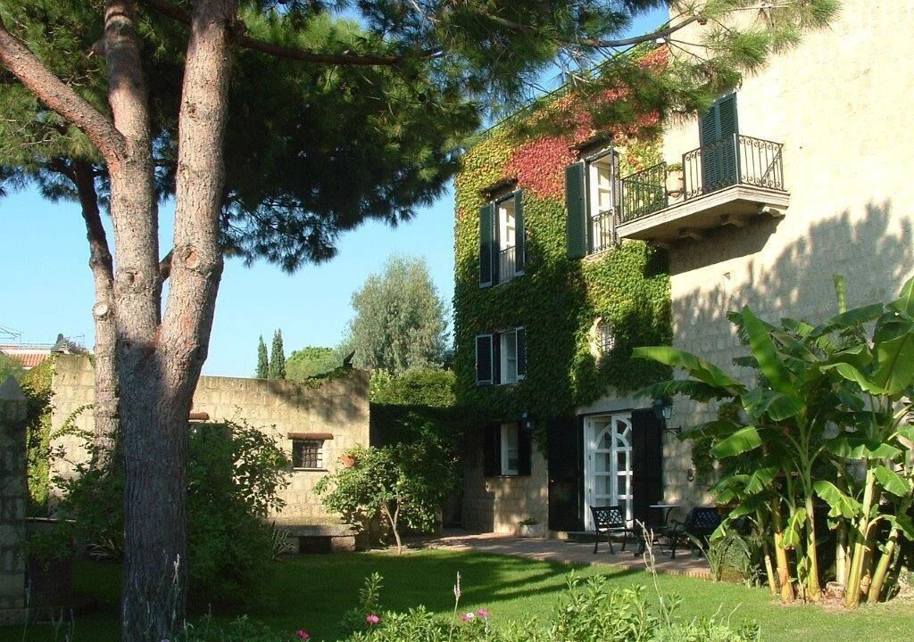Photo of Outdoor in Licola
