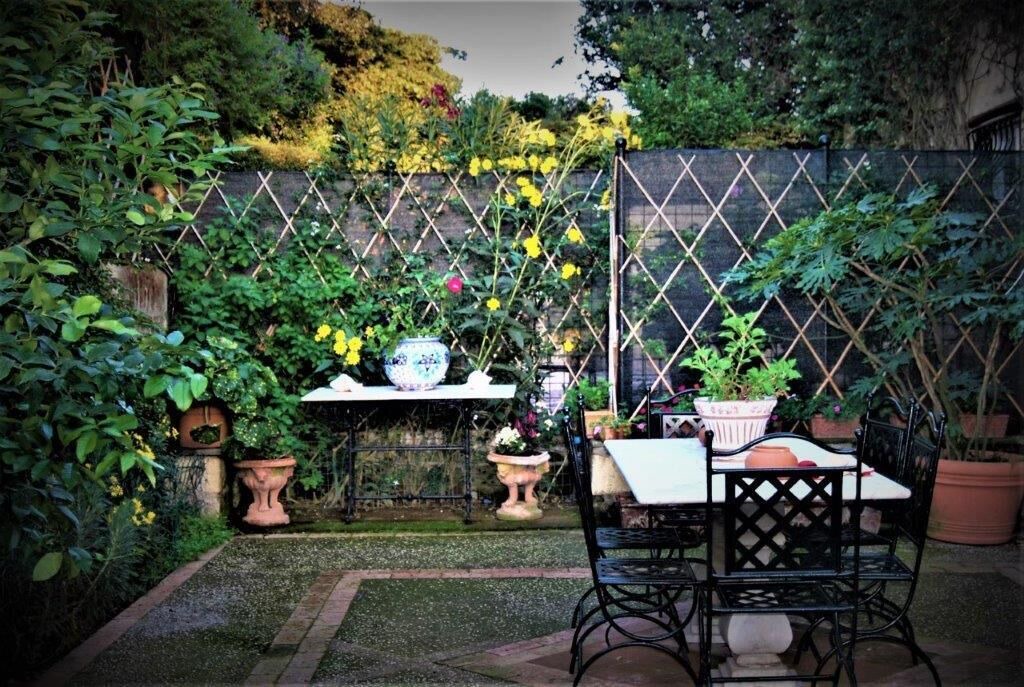 Photo of Outdoor in Licola