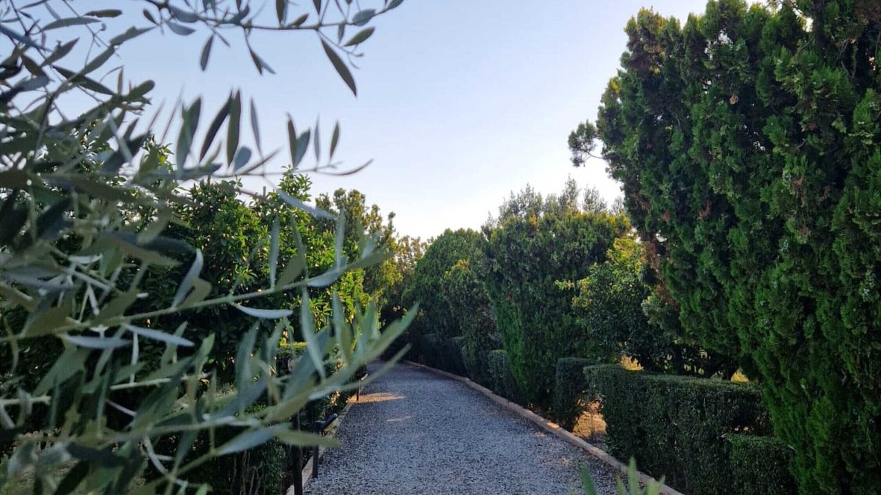 Photo of Outdoor in Crotone