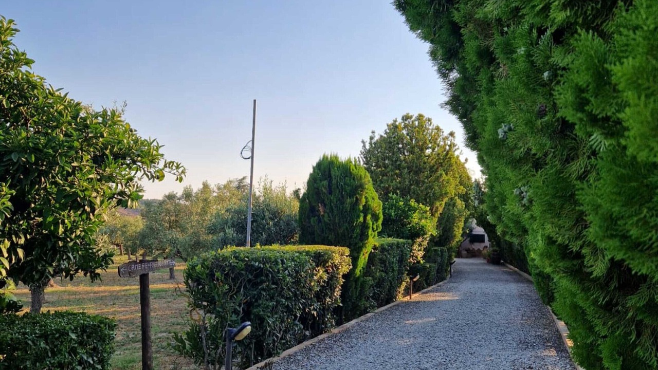 Photo of Outdoor in Crotone