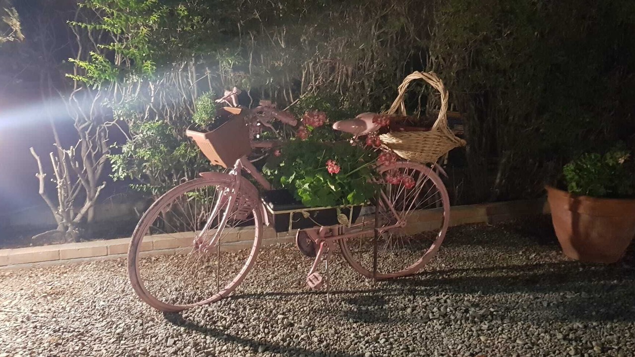 Photo of Outdoor in Crotone