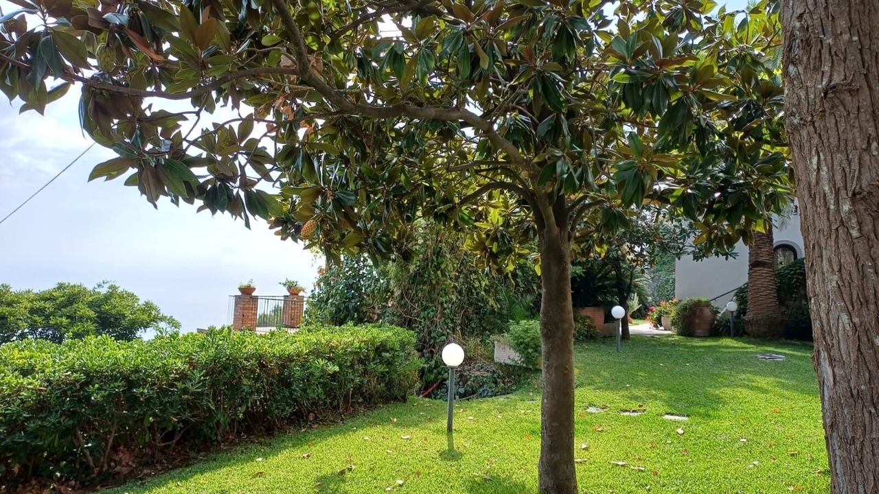 Photo of Outdoor in Raito