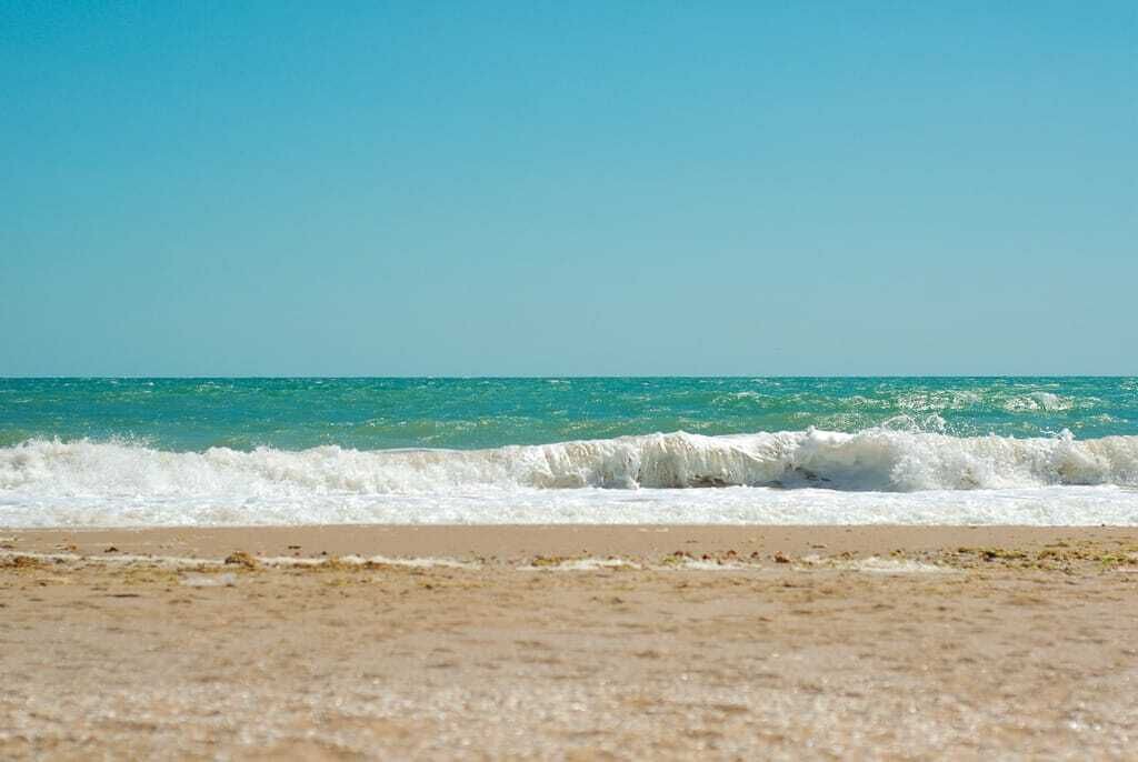 Photo of Others in Ajman