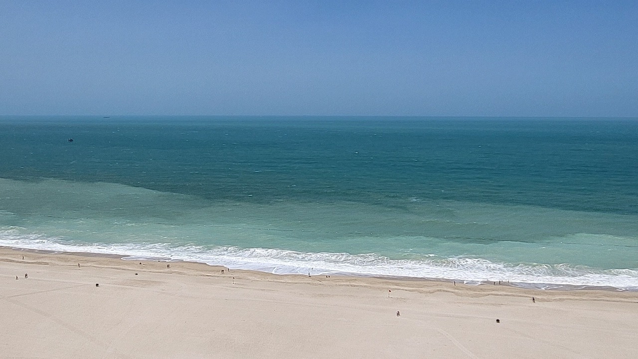 Photo of Others in Ajman