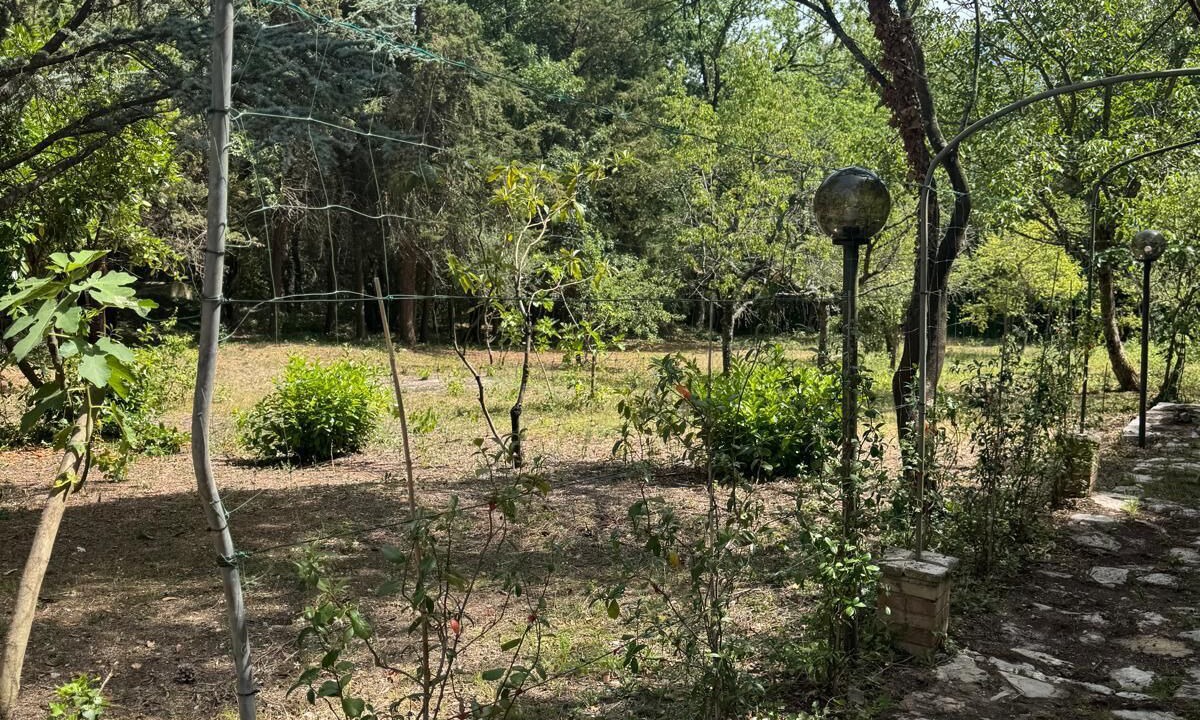 Photo of Outdoor in Vinchiaturo