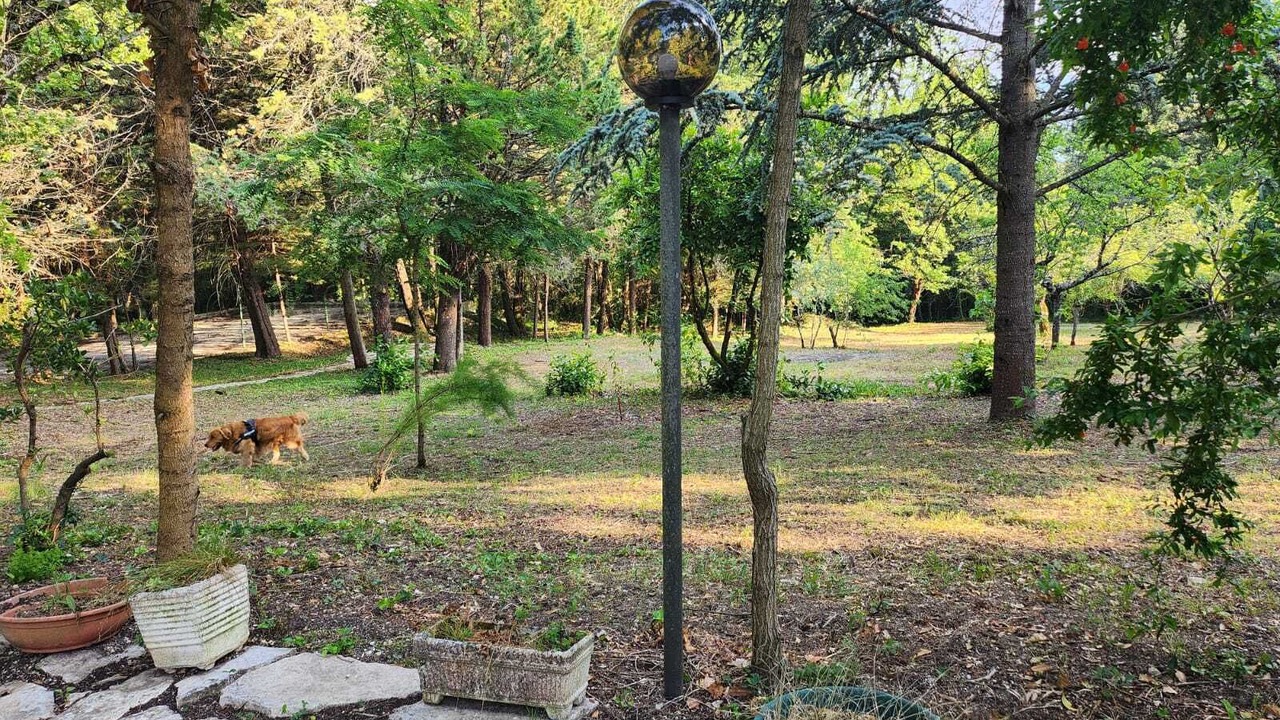 Photo of Outdoor in Vinchiaturo